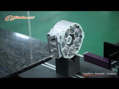 WNRLN কোম্পানির লাইভ শো